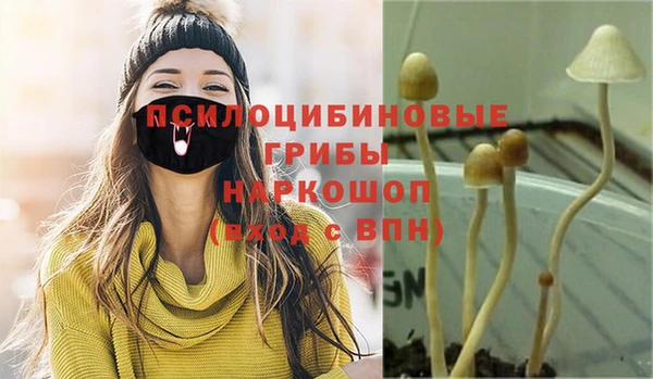 COCAINE Майский