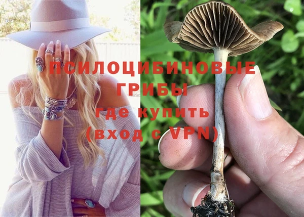 гашиш Магас